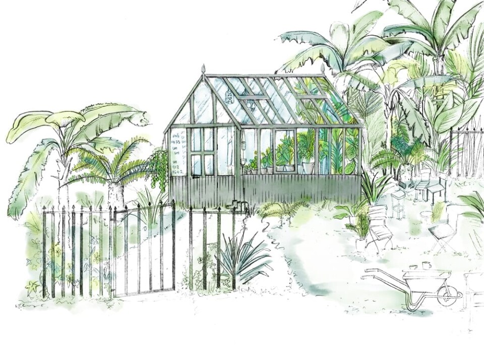 Malvern Garden Buildings houseplant studio the glasshouse design