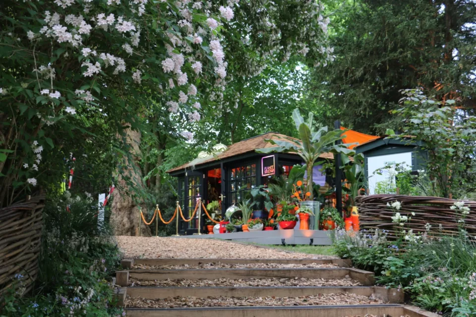 RHS Chelsea 2022 Houseplant Studio Planet Studio by James Whiting
