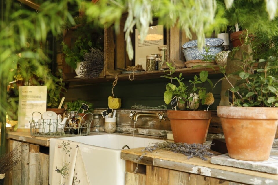 sink inside The Roots of Wellbeing Houseplant Studio at RHS Chelsea Flower Show