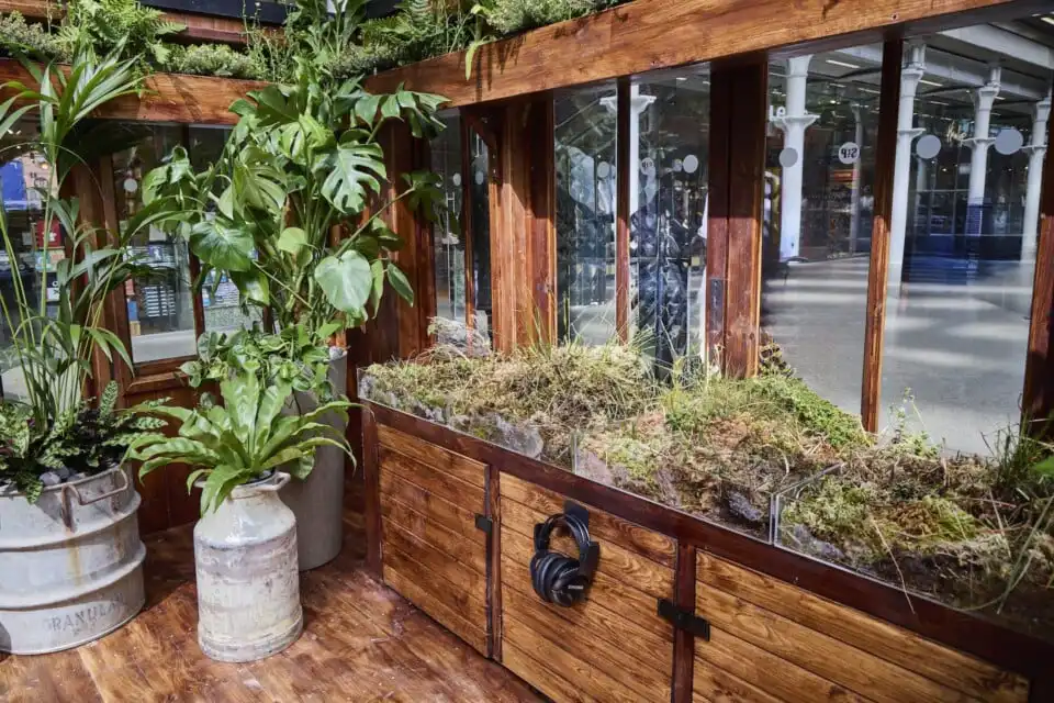 terrariums with sound experience inside composers cabin on display at st pancras